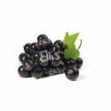 Johannisbeere Schwarz - Ellis Lebensmittel Aroma (DIY)