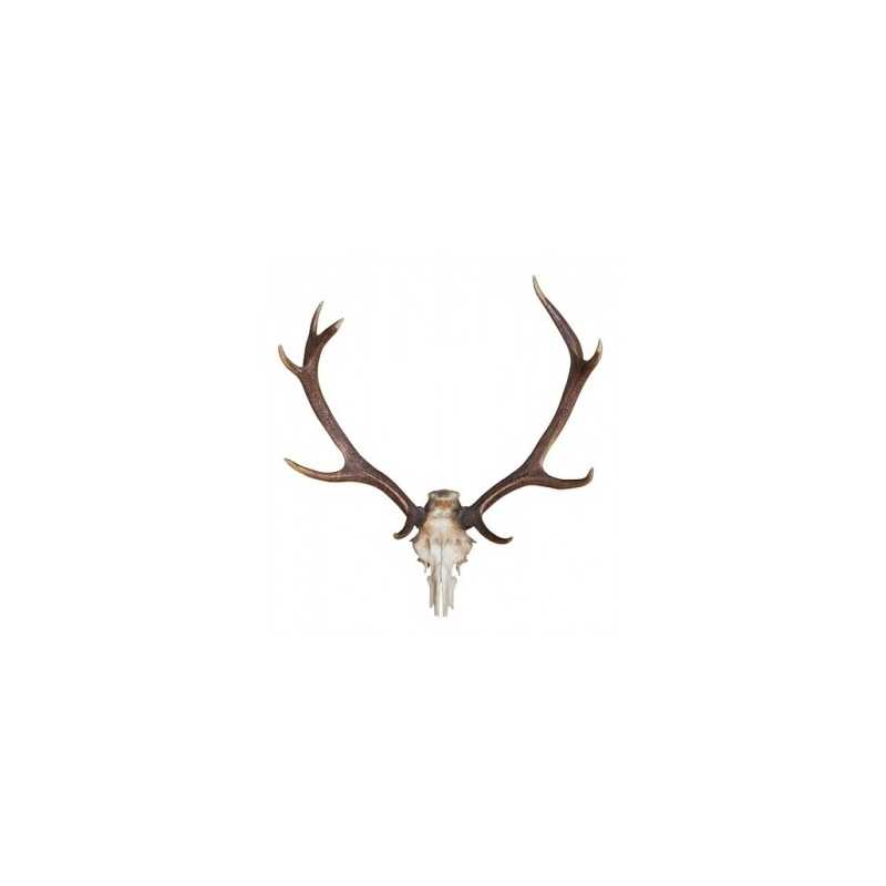 Waldmanns Kräuter Likor- Ellis Lebensmittel Aroma (DIY)Waldmanns Kräuter Likor- Ellis Lebensmittel AromaGeschmack: nach wildem Hirsch ! 10ml Flasche765Ellis Aromen6,40 CHFsmoke-shop.ch6,40 CHF Waldmanns Kräuter Likor- Ellis Lebensmittel Aroma (DIY)Waldmanns Kräuter Likor- Ellis Lebensmittel AromaGeschmack: nach wildem Hirsch ! 10ml Flasche765Ellis Aromen6,40 CHFsmoke-shop.ch6,40 CHF