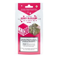 Berry Blossom Outdoor - The CBD House - Blüten CBD Blüten 3mgLieferumfang: Berry Blossom Outdoor Blüten CBD Blüten vers. Füllmengen in GrammDas Aroma von Berry Blossom CBD Blüten erinnert an Beeren und Acai. Sie sorgen für ein entspanntes Gefühl und helfen bei Verspannungen und Stress, dabei sorgen sie für Klarheit und Komfort. Die Outdoor im Kanton Genf angebauten Blüten haben ein CBD-Gehalt von 14 bis 18 %.Made in SwitzerlandCBD Gehalt: 14-18%10237The House CBD - Made in Switzerland -14,90 CHFsmoke-shop.ch14,90 CHF