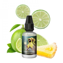 Greedy Lemon - Hidden Potion - 30ml - by A&L Aroma (DIY)