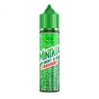 50 ml - Mint & Strawberry - Mintaïa by Eliquid - shortfill50 ml - Mint &amp; Strawberry - Mintaïa by Eliquid - shortfillGeschmack:Entdecken Sie das e liquid Mint &amp; Strawberry Mintaïa 50 ml. Geschmack(en): Minze, Erdbeere. Das e-Liquid Mintaïa ist in einer 50 ml Flasche ohne Nikotin verpackt und kann nach Zugabe von zwei Boostern bis zu 70 ml e-Liquid enthalten.Zusammensetzung des Mintaïa Mint &amp; Strawberry e liquid 50 ml :Flaschengröße: 50 mlPG/VG-Gehalt: 50/50Nikotindosierung: 0 mg/ml.Das e liquid Mint &amp; Strawberry Mintaïa 50 ml wird in Frankreich von Eliquid France hergestellt und abgefüllt.16451Eliquid - France- Premium Vaping Liquids18,90 CHFsmoke-shop.ch18,90 CHF
