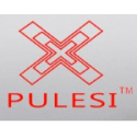 Pulesi