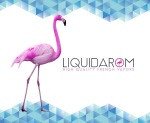 Liquidarom High Quality French Vapors